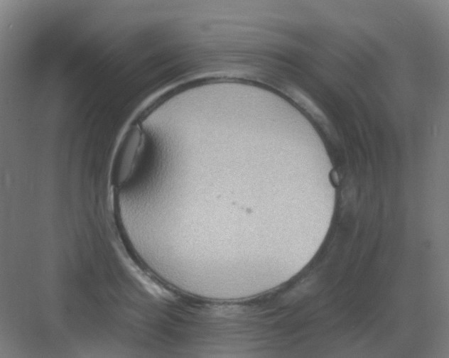 X0000081370940200702082342