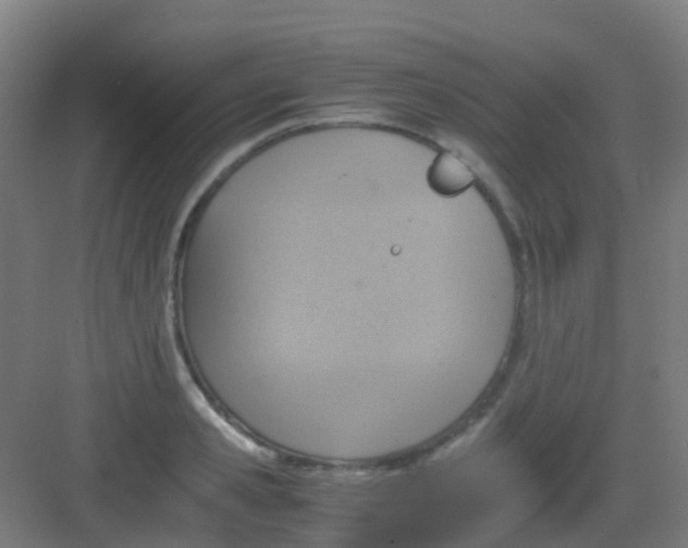 X0000081370941200702082342