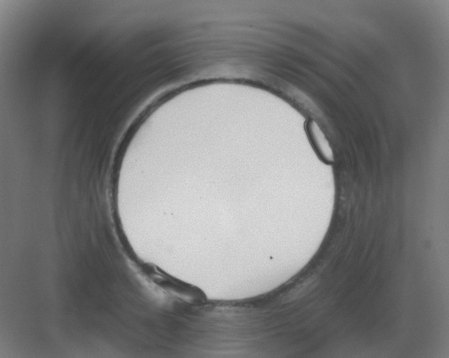 X0000081370942200702082342