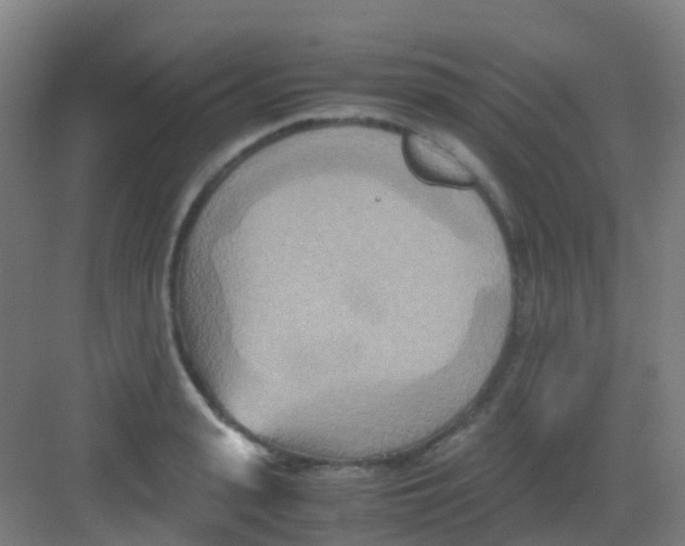 X0000081370943200702082342