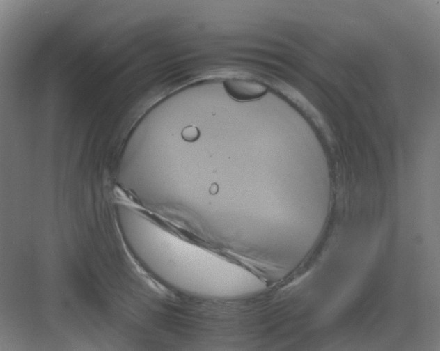 X0000081370945200702082342