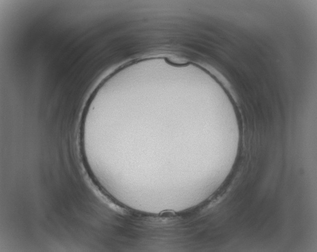 X0000081370949200702082343