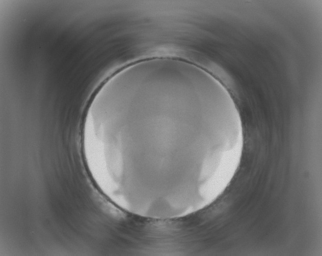 X0000081370950200702082343