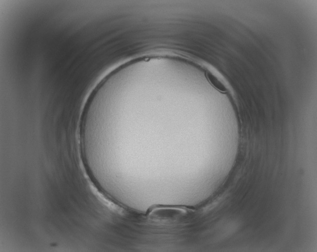 X0000081370951200702082343