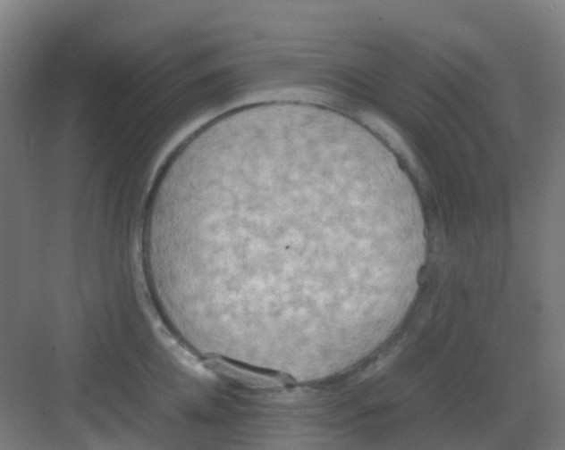 X0000081370952200702082343