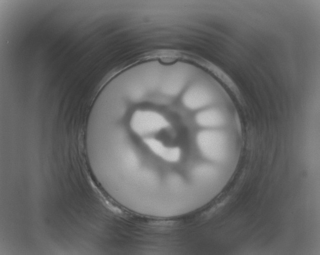 X0000081370953200702082343