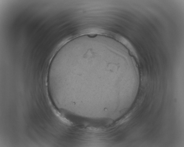 X0000081370954200702082343