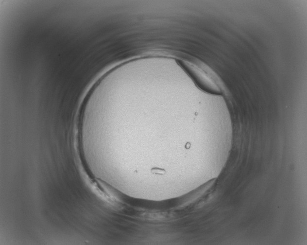 X0000081370955200702082343