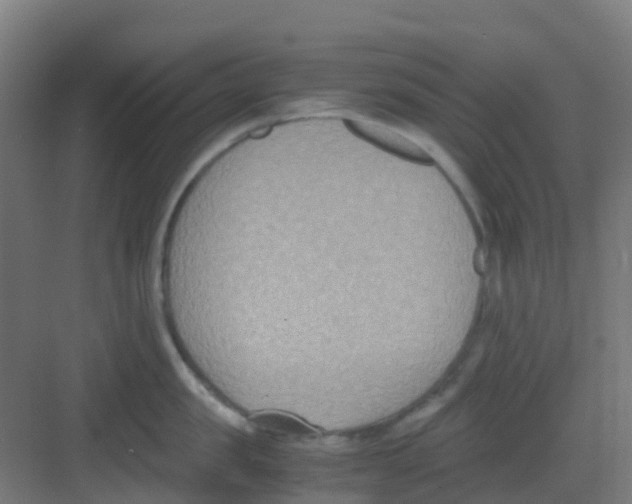 X0000081370957200702082343