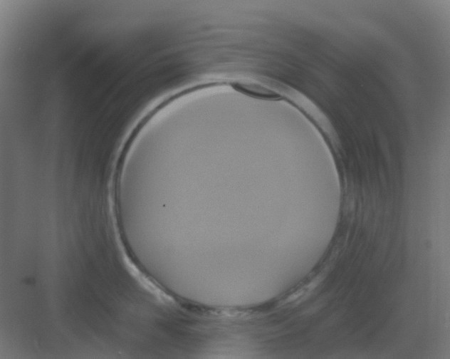 X0000081370958200702082343