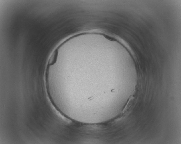 X0000081370959200702082343