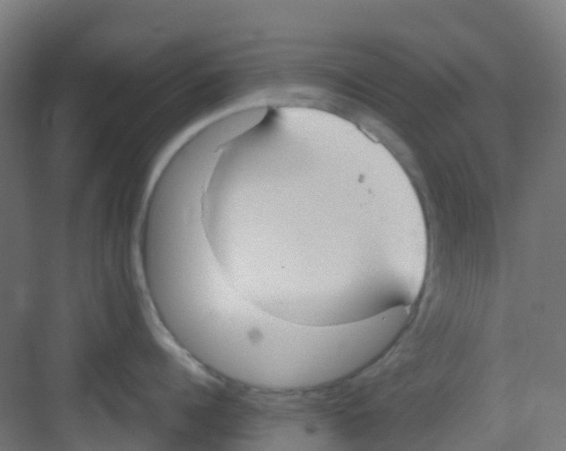 X0000081370960200702082343