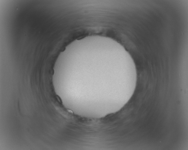 X0000081370961200702082342