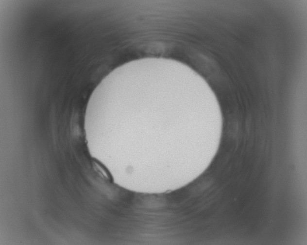 X0000081370962200702082342