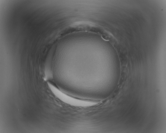 X0000081370965200702082342