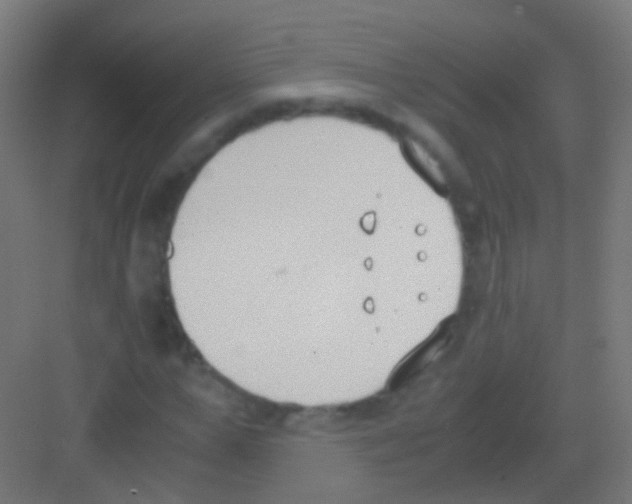 X0000081370967200702082342