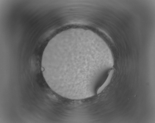 X0000081370968200702082342