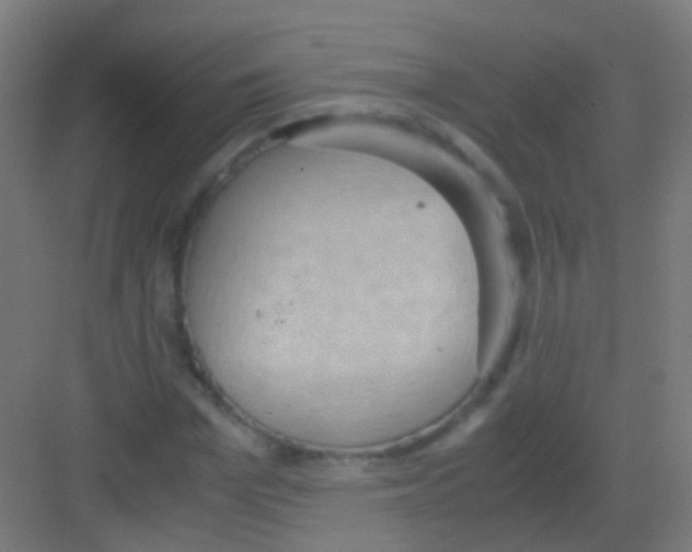 X0000081370969200702082342