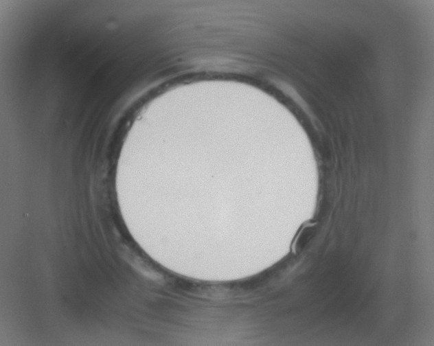 X0000081370971200702082342