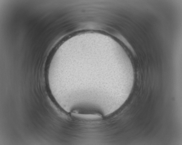 X0000081370972200702082342