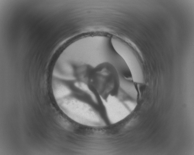 X0000081370975200702082342