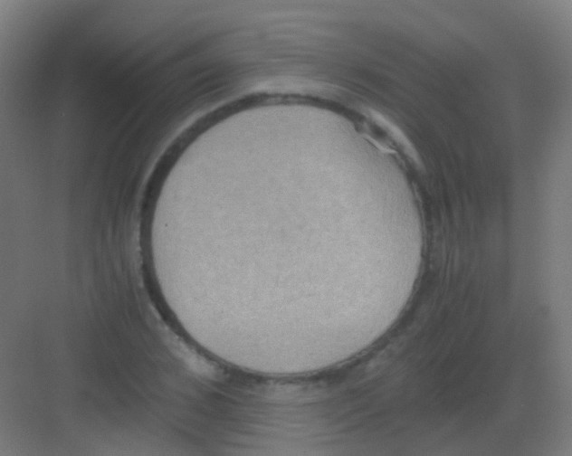 X0000081370976200702082342