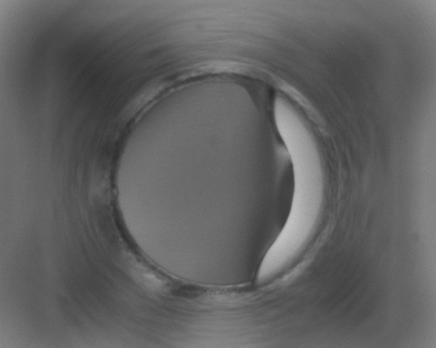 X0000081370977200702082342