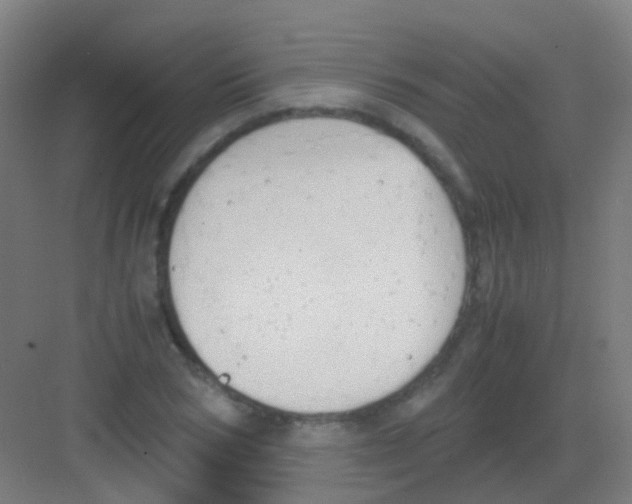 X0000081370978200702082342