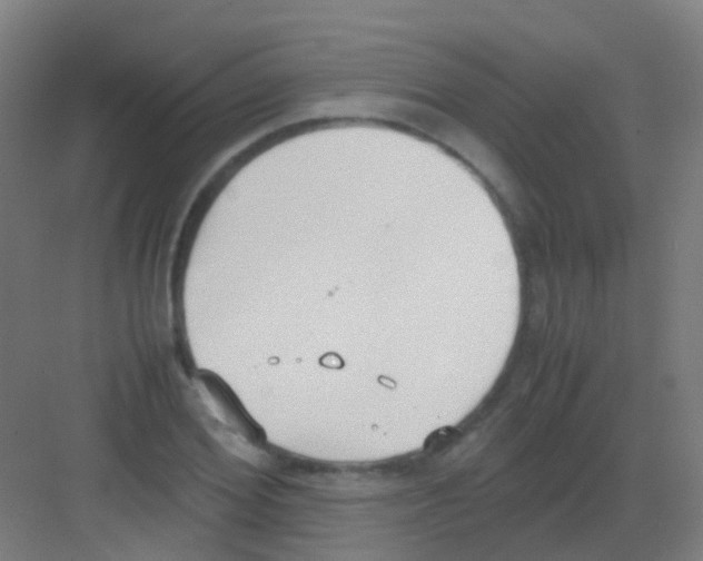 X0000081370980200702082342