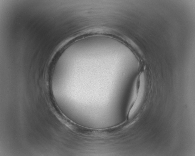 X0000081370981200702082342