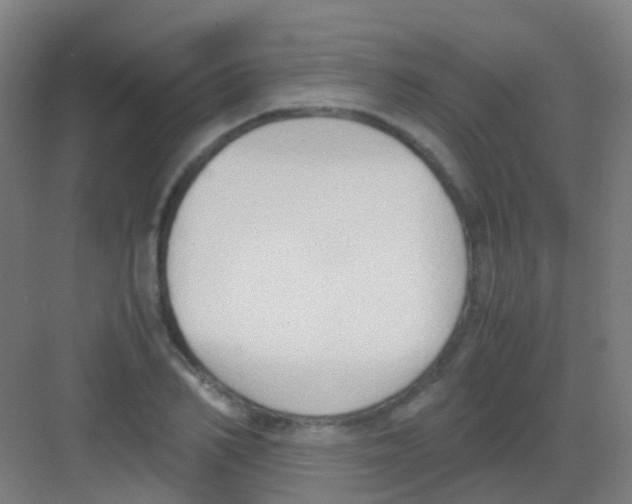 X0000081370982200702082342