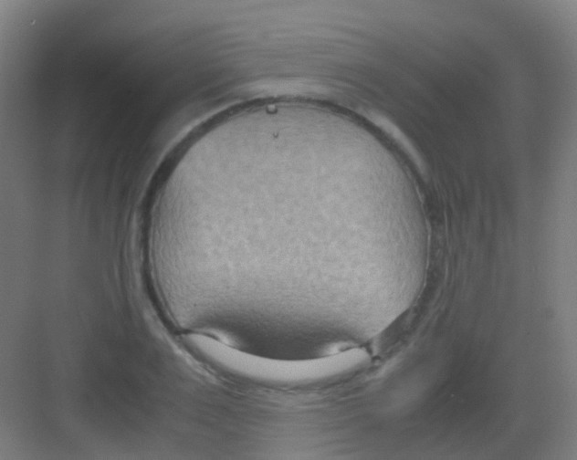 X0000081370983200702082342