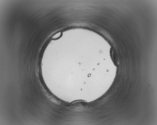 X0000081370984200702082342