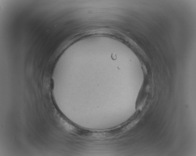 X0000081370985200702082342