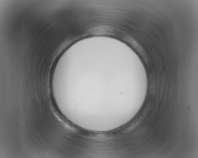 X0000081370986200702082342