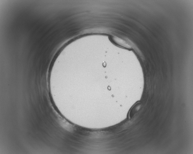 X0000081370988200702082341