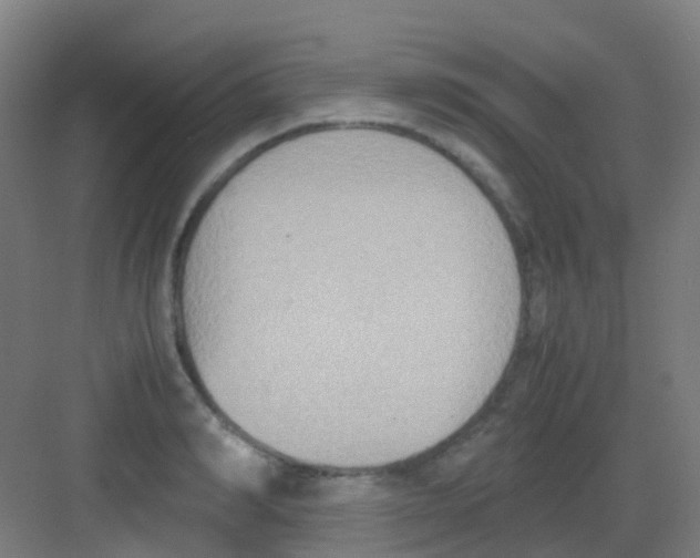 X0000081370990200702082341