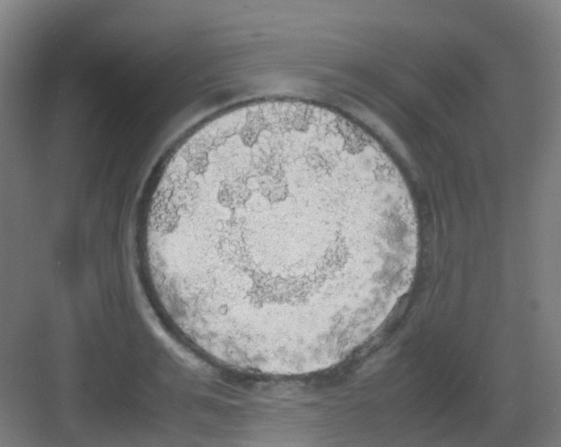 X0000081370991200702082341