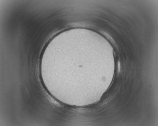 X0000081370992200702082341