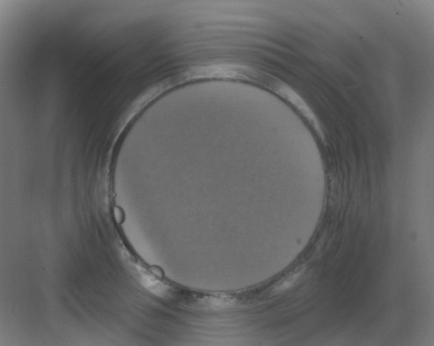 X0000081370994200702082341