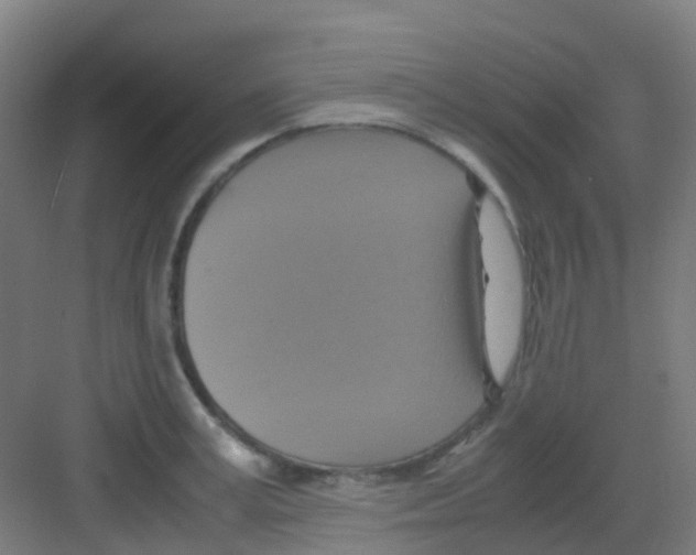 X0000081370995200702082341