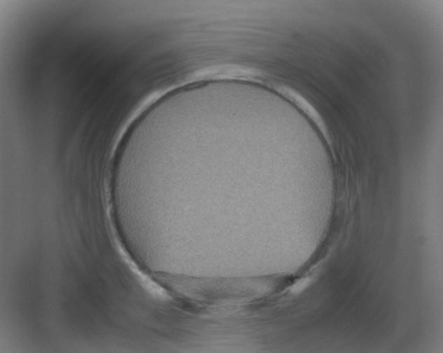 X0000081370997200702082341