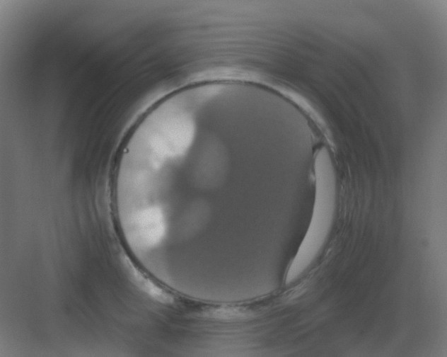 X0000081370998200702082341