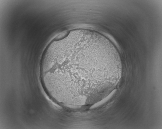 X0000081370999200702082341