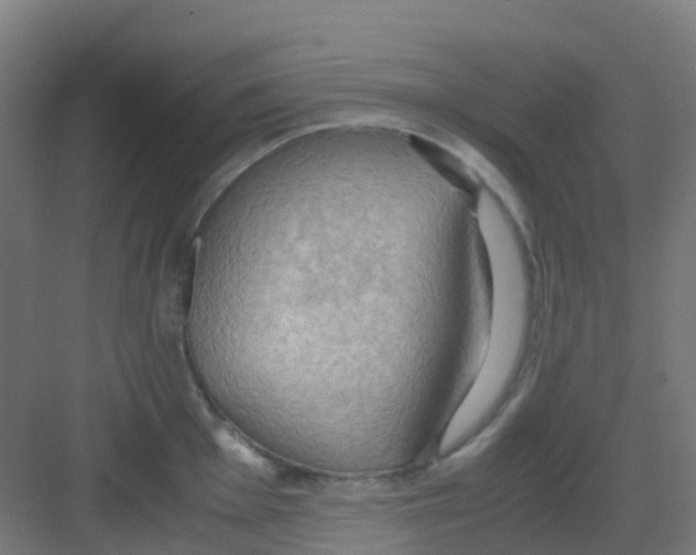 X0000081371001200702082341