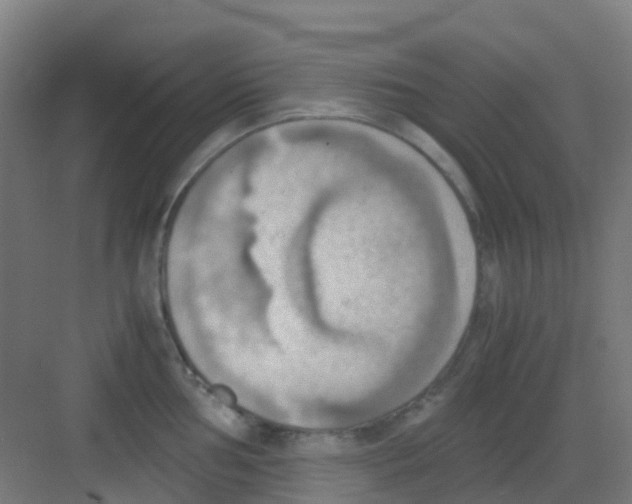 X0000081371002200702082341