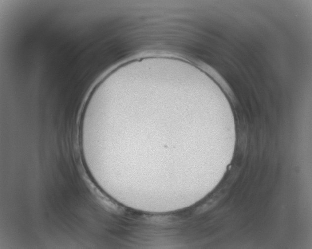 X0000081371004200702082341