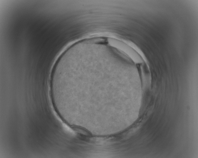 X0000081371005200702082341