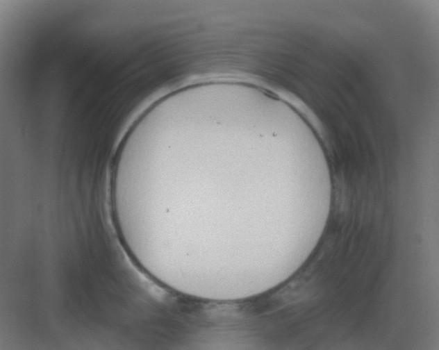 X0000081371006200702082341