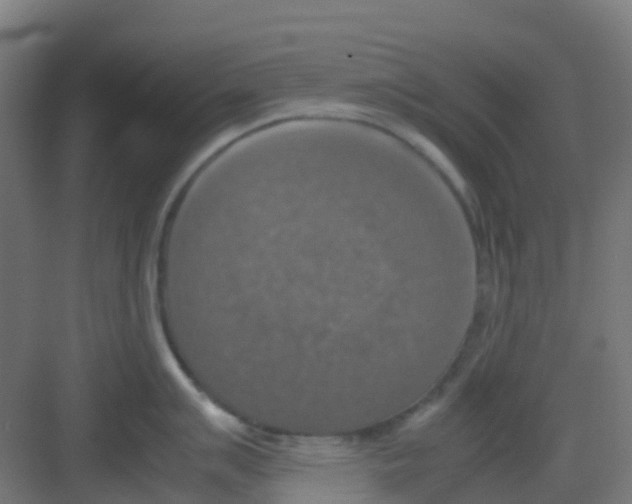 X0000081371007200702082341